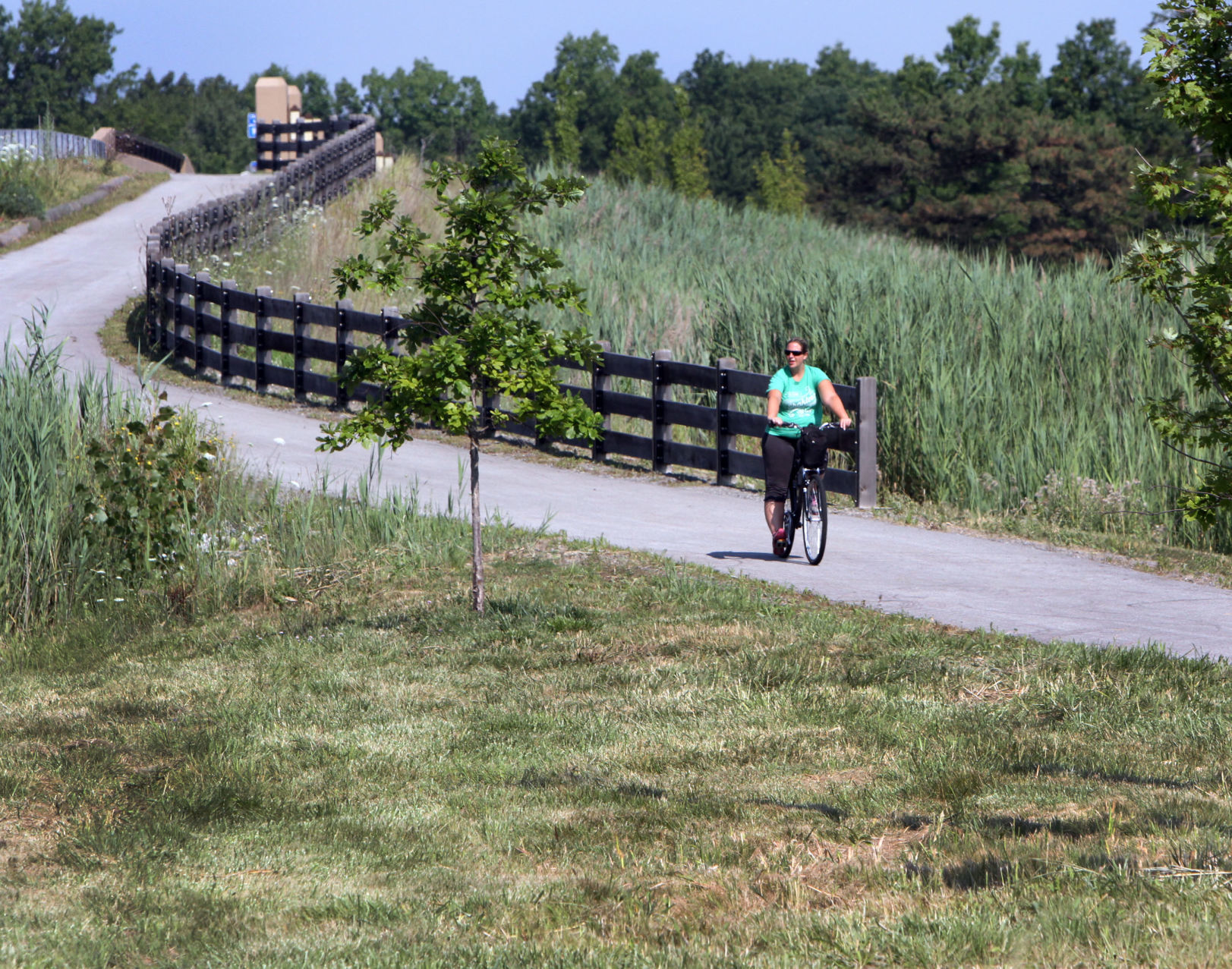 Indiana Dunes Scavenger Hunt